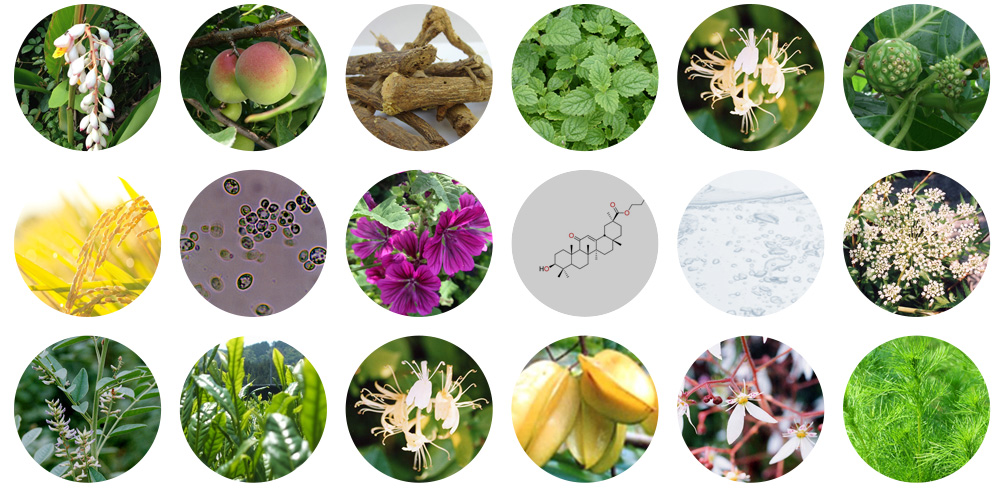 18種類の美容素材を配合