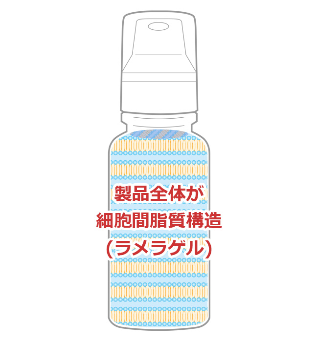 製品全体が細胞間脂質構造(ラメラゲル)