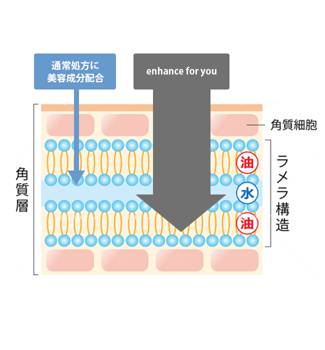 enhance for you 20倍浸透
