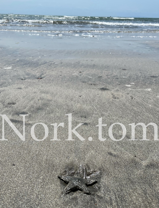 サステナブルへの取り組み